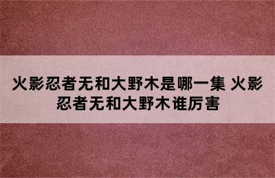 火影忍者无和大野木是哪一集 火影忍者无和大野木谁厉害